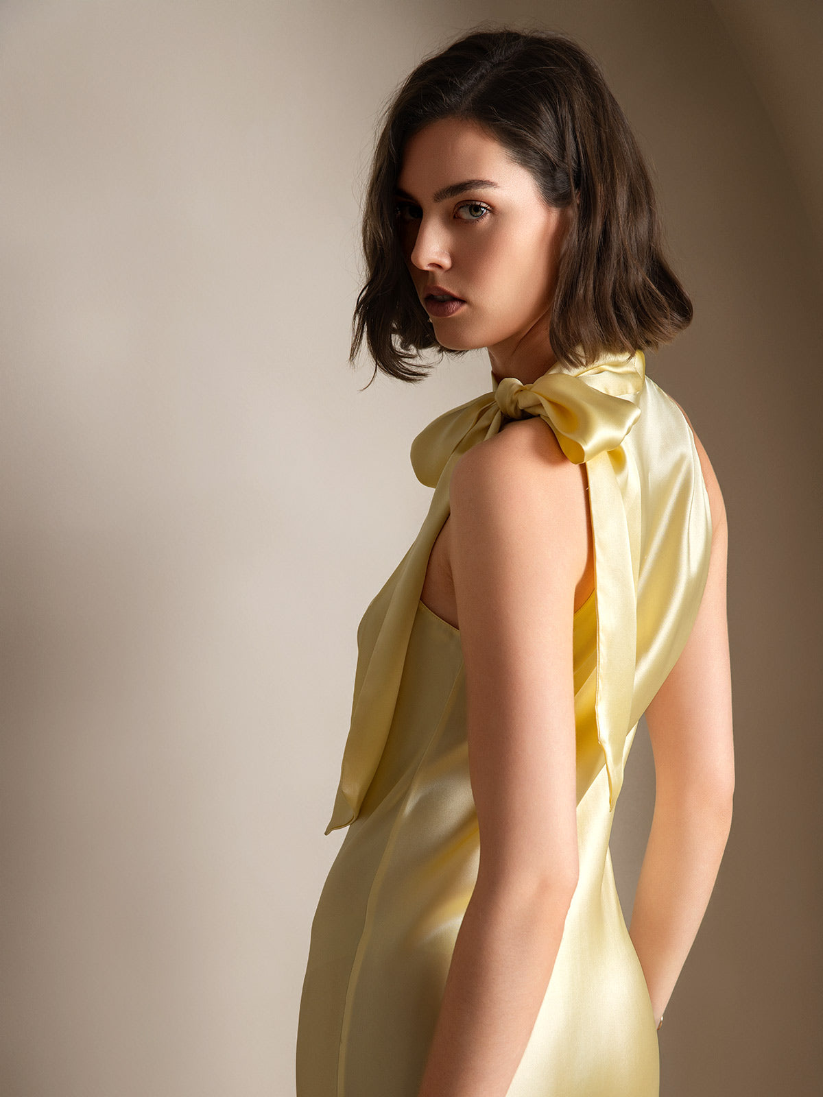 19Momme Soie Nouer Col Robe 19Momme Soie Nouer Col Robe